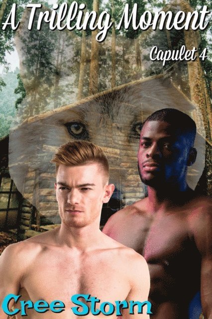 Cree Storm - Trilling Moment Capulet 4, E-bok