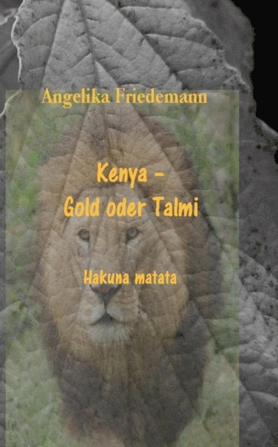 Angelika Friedemann - Kenya- Gold oder Talmi, E-bok