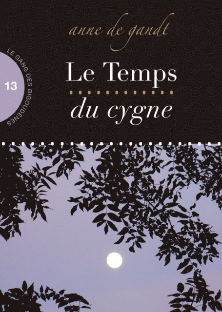 Anne de Gandt - Le Temps du cygne (Saison 13), E-bok