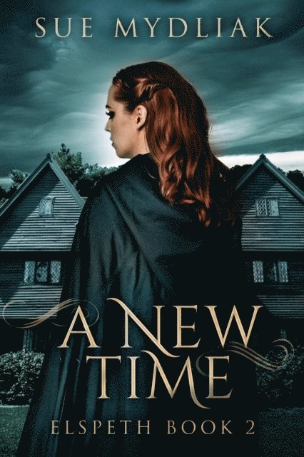 Sue Mydliak - New Time, E-bok