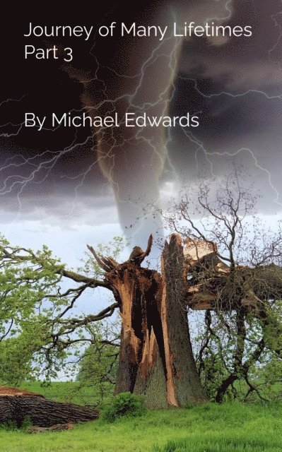 Michael Edwards - Journey of Many Lifetimes Pt 3, E-bok