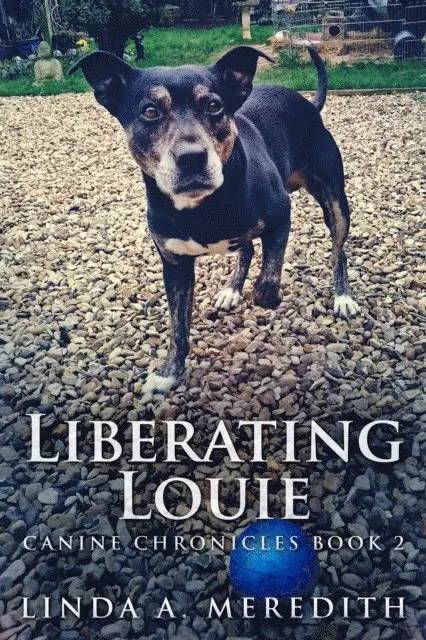 Linda A. Meredith - Liberating Louie, E-bok. Tillgänglighet: Lägg i varukorg