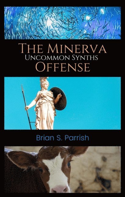 Brian S. Parrish - Minerva Offense: Uncommon Synths, E-bok. Tillgänglighet: Lägg i varukorg