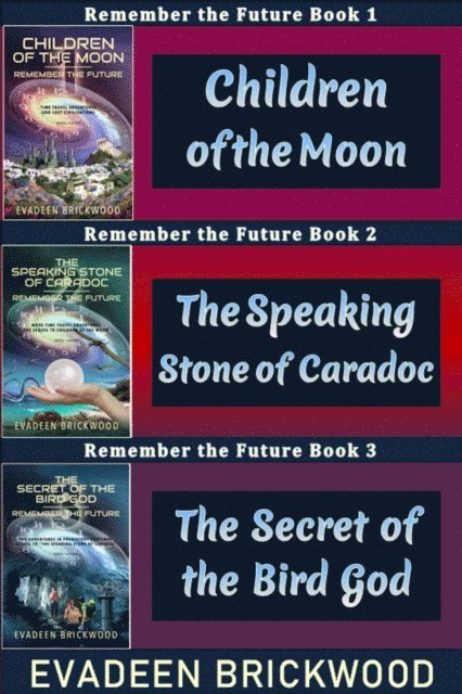 Evadeen Brickwood - Time Travel Boxset 1: Remember the Future, E-bok. Tillgänglighet: Lägg i varukorg