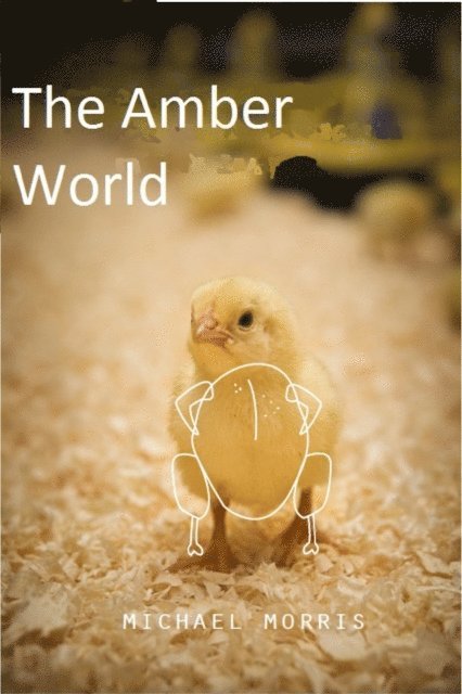Michael Morris - Amber World, E-bok