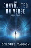 Convoluted Universe Book 4