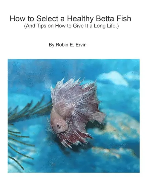 Robin E Ervin - How to Select a Healthy Betta Fish and Tips on How to Give It a Long Life., E-bok. Tillgänglighet: Lägg i varukorg
