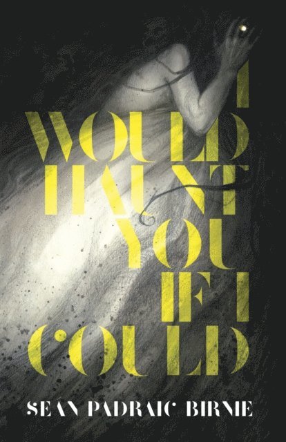 Sean Padraic Birnie - I Would Haunt You if I Could, E-bok