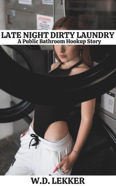 W.D. Lekker - Late Night Dirty Laundry: A Public Restroom Hookup Story, E-bok. Tillgänglighet: Lägg i varukorg