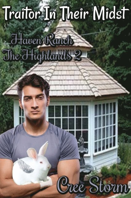 Cree Storm - Traitor In Their Midst Haven Ranch The Highlands 2, E-bok