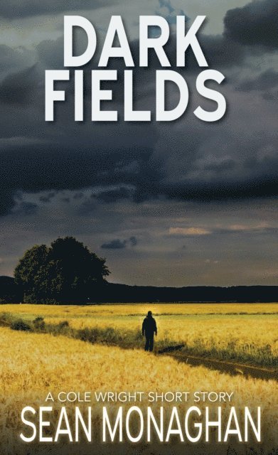 Sean Monaghan - Dark Fields, E-bok