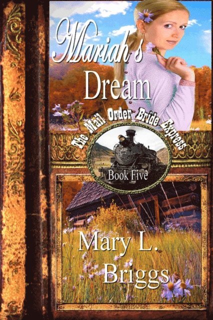 Mary L. Briggs - Mail Order Bride: Mariah's Dream, E-bok. Tillgänglighet: Lägg i varukorg