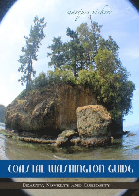 Marques Vickers - Washington Coast Guide: Beauty, Novelty and Curiosity, E-bok. Tillgänglighet: Lägg i varukorg