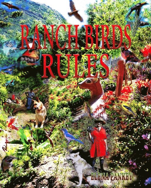 Elena Pankey - Ranch Birds Rules, E-bok. Tillgänglighet: Lägg i varukorg
