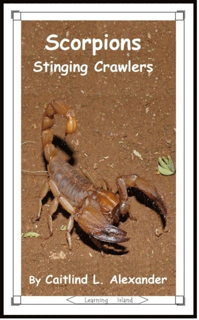 Caitlind L. Alexander - Scorpions: Stinging Crawlers, E-bok. Tillgänglighet: Lägg i varukorg