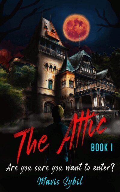 Michelle Mann - Attic: Are You Sure You Want to Enter?, E-bok