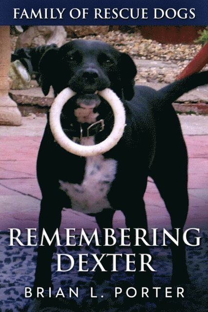 Brian L. Porter - Remembering Dexter, E-bok. Tillgänglighet: Lägg i varukorg