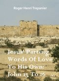 Jesus' Parting Words Of Love To His Own: John 13 To 16