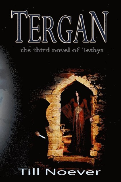 Till Noever - Tergan, E-bok