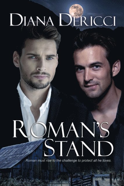 Diana DeRicci - Roman's Stand, E-bok