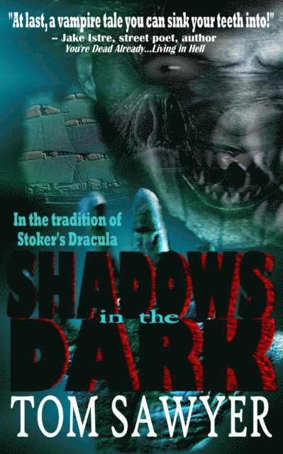 Tom Sawyer - Shadows in the Dark, E-bok