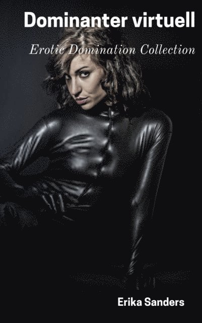 Erika Sanders - Dominanter virtuell, E-bok