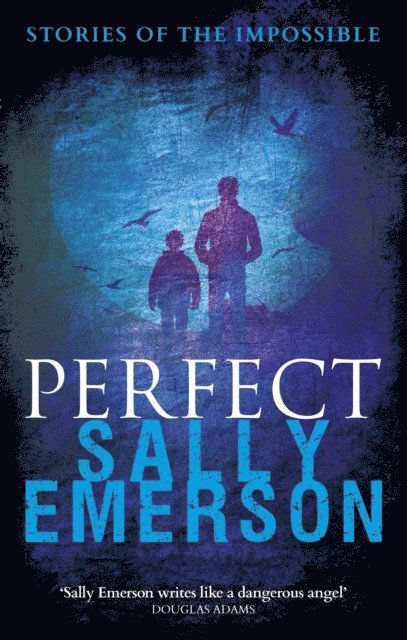 Sally Emerson - Perfect, Stories of the Impossible, E-bok. Tillgänglighet: Lägg i varukorg