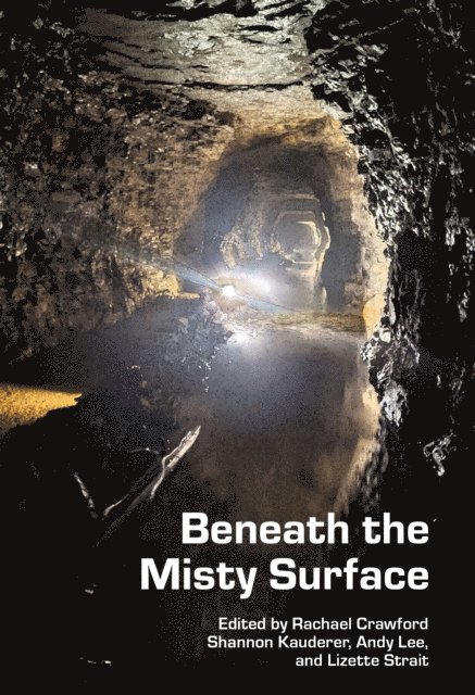 Shannon Yseult, Andy Lee, Lizette Strait, Rachael Crawford - Beneath the Misty Surface, E-bok