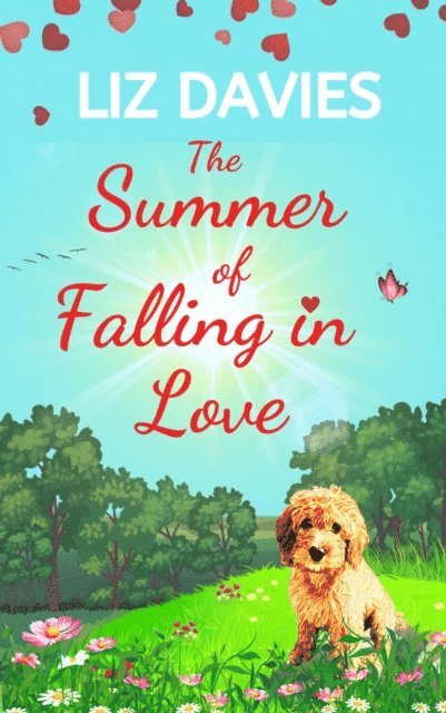 Liz Davies - Summer of Falling in Love, E-bok