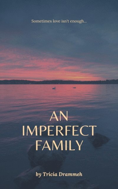 Tricia Drammeh - Imperfect Family, E-bok