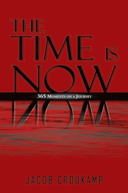 Japie Croukamp - Time Is Now, E-bok