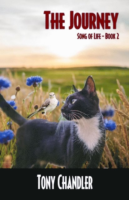 Tony Chandler - Journey (Song of Life - Book 2), E-bok. Tillgänglighet: Lägg i varukorg