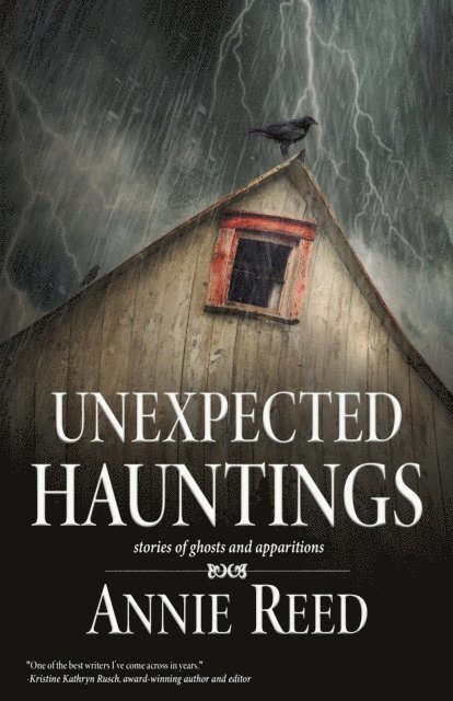 Annie Reed - Unexpected Hauntings, E-bok
