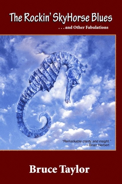 Bruce Taylor - Rockin' SkyHorse Blues, E-bok