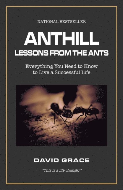 David Grace - Anthill: Lessons from the Ants, E-bok