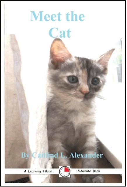 Meet the Cat