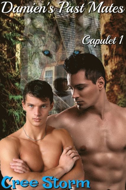 Cree Storm - Damien's Past Mates Capulet 1, E-bok