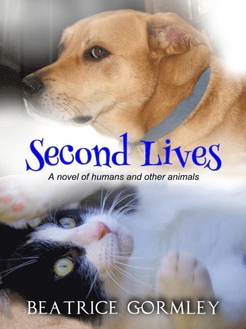 Beatrice Gormley - Second Lives, E-bok