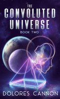 Convoluted Universe Book 2
