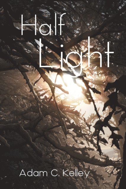 Adam C. Kelley - Half Light, E-bok. Tillgänglighet: Lägg i varukorg
