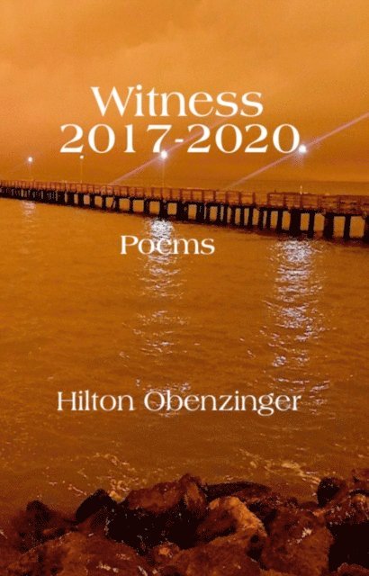 Hilton Obenzinger - Witness 2017-2020, E-bok