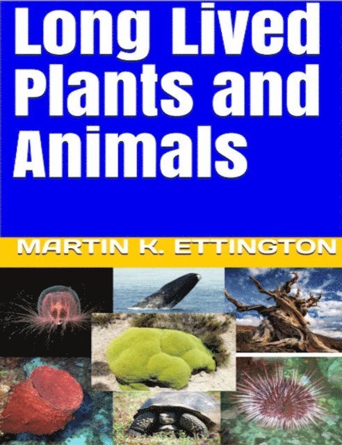 Long Lived Plants and Animals