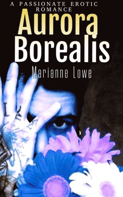Marianne Lowe - Aurora Borealis: A Passionate Erotic Romance, E-bok