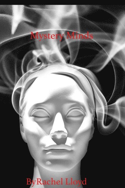 Rachel Lloyd - Mystery Minds, E-bok
