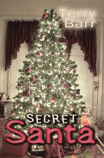 Terry Barr - Secret Santa, E-bok