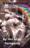 Transcendence: Meta-Portals To Altered Worlds