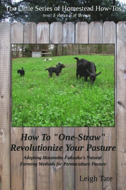 Leigh Tate - How To &quote;One-Straw&quote; Revolutionize Your Pasture: Adapting Masanobu Fukuoka's Natural Farming Methods for Permaculture Pasture, E-bok. Tillgänglighet: Lägg i varukorg