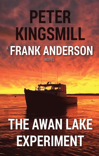 Peter Kingsmill - Awan Lake Experiment, E-bok