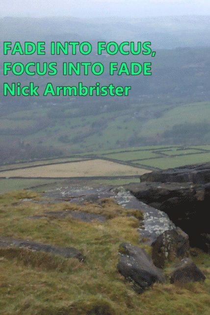 Nick Armbrister - Fade into Focus, Focus into Fade, E-bok