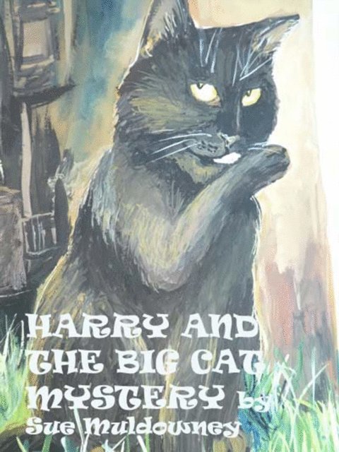Sue Muldowney - Harry Knight and the Big Cat Mystery, E-bok